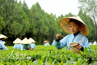 雷竞技推荐码有什么用截图4